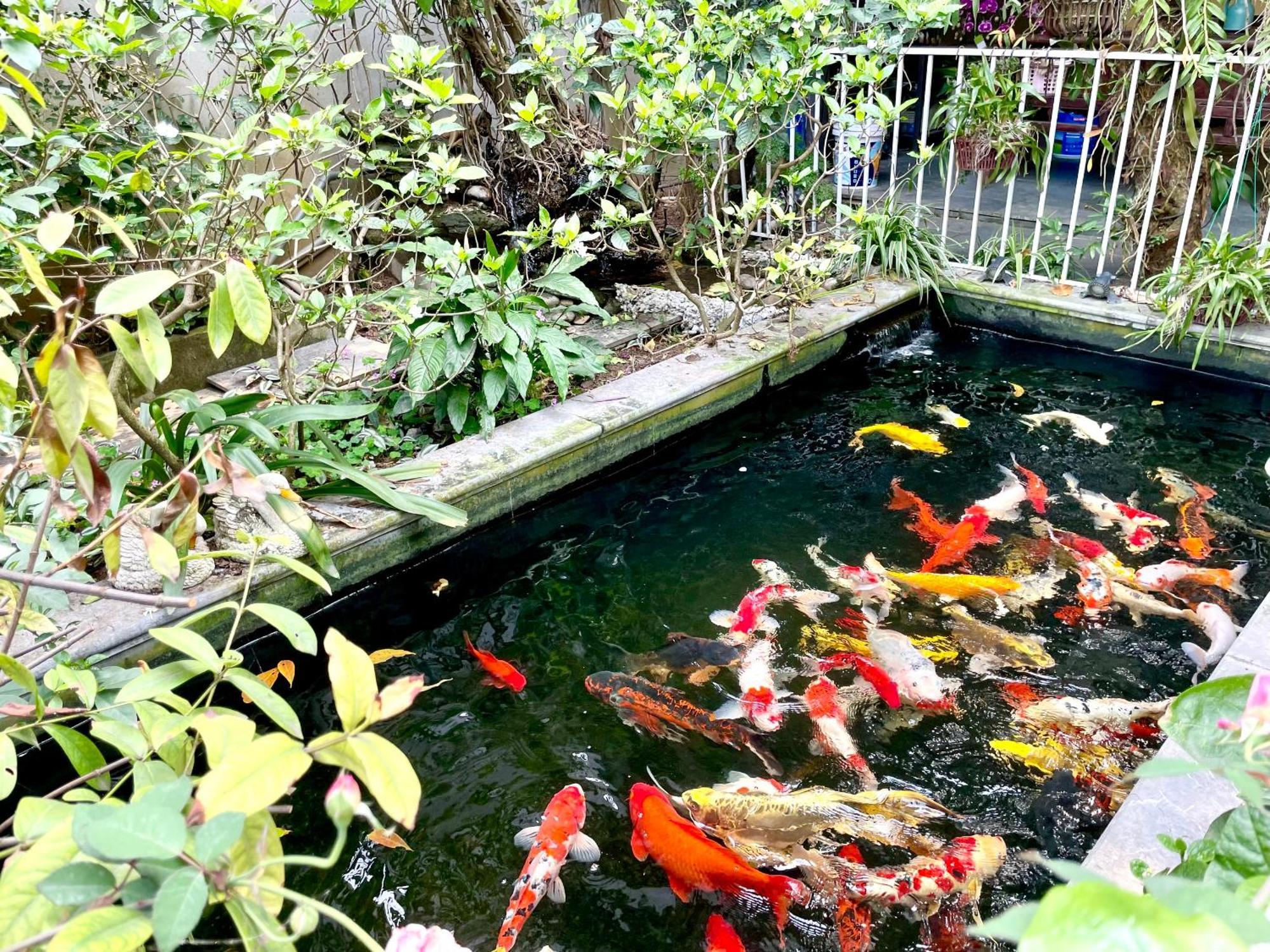 Lee Homestay Hanoi Dış mekan fotoğraf