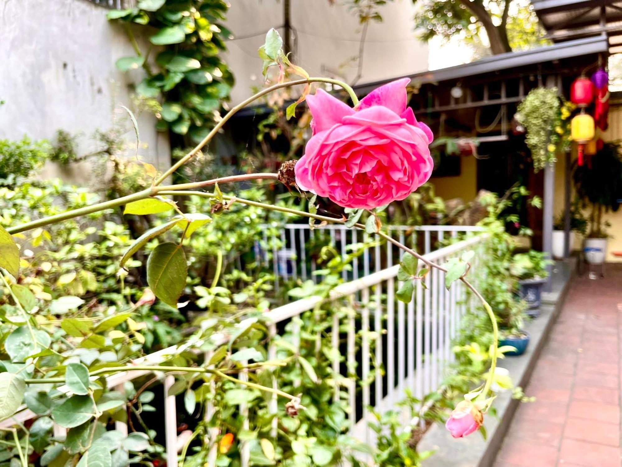Lee Homestay Hanoi Dış mekan fotoğraf