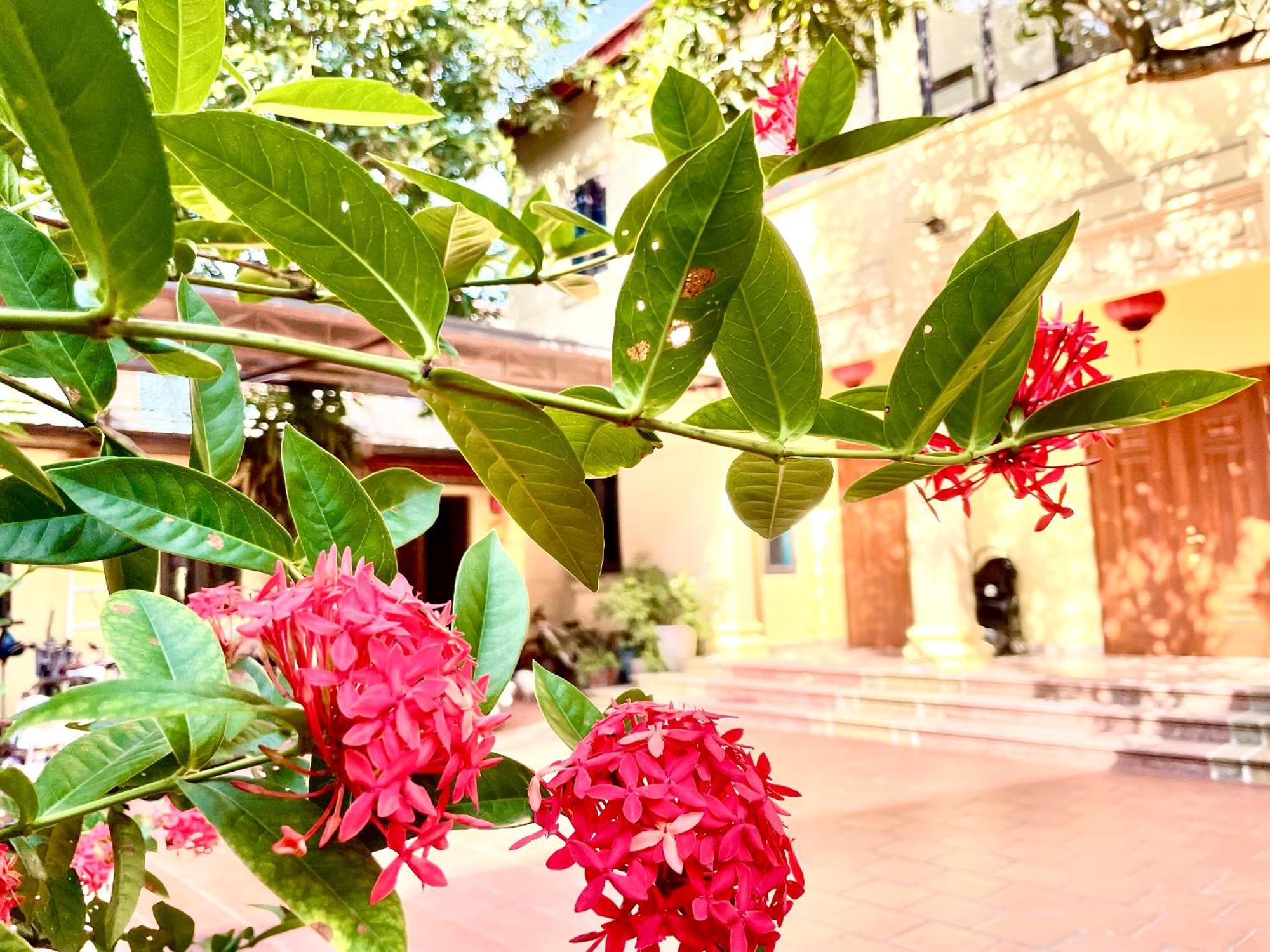 Lee Homestay Hanoi Dış mekan fotoğraf