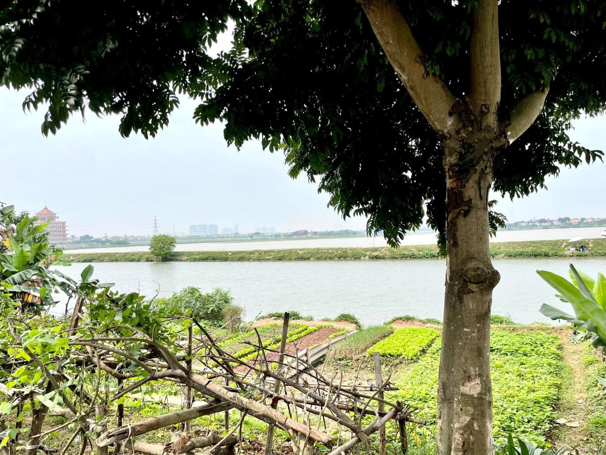 Lee Homestay Hanoi Dış mekan fotoğraf